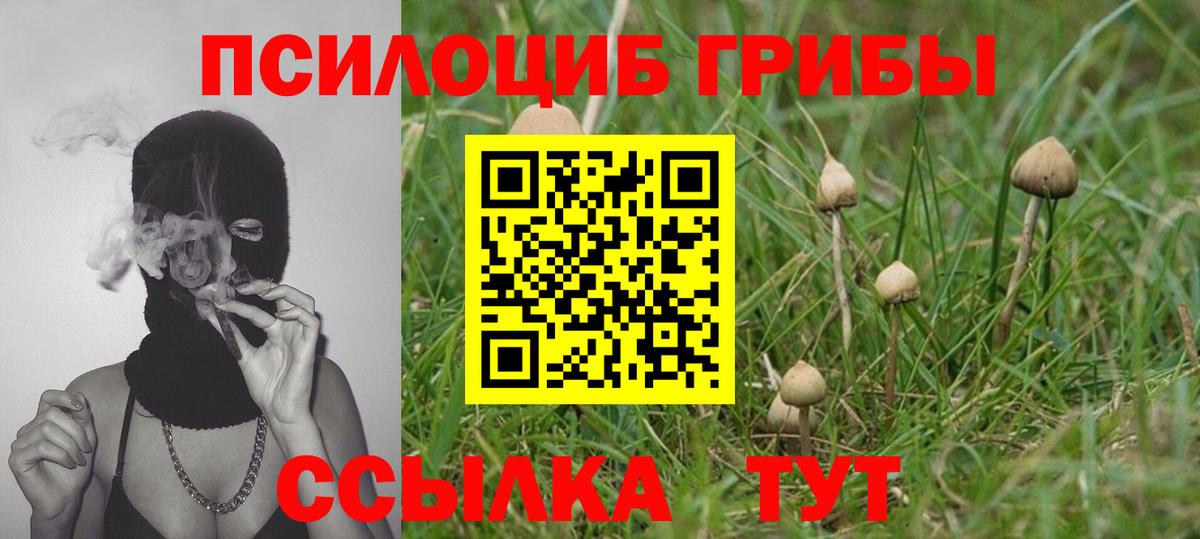 как найти   Вход с VPN  Медногорск  Галлюциногенные грибы GOLDEN TEACHER 